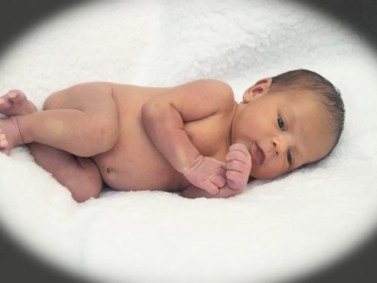 DeFelice Photography