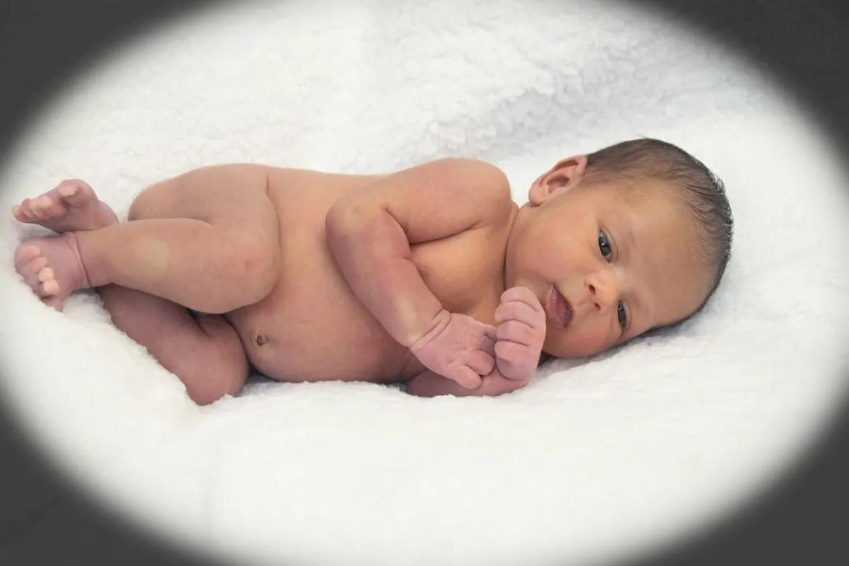 DeFelice Photography photo 2