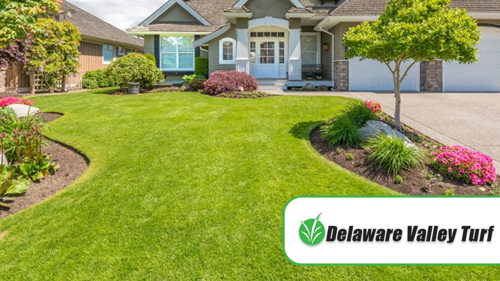 Delaware Valley Turf photo 2