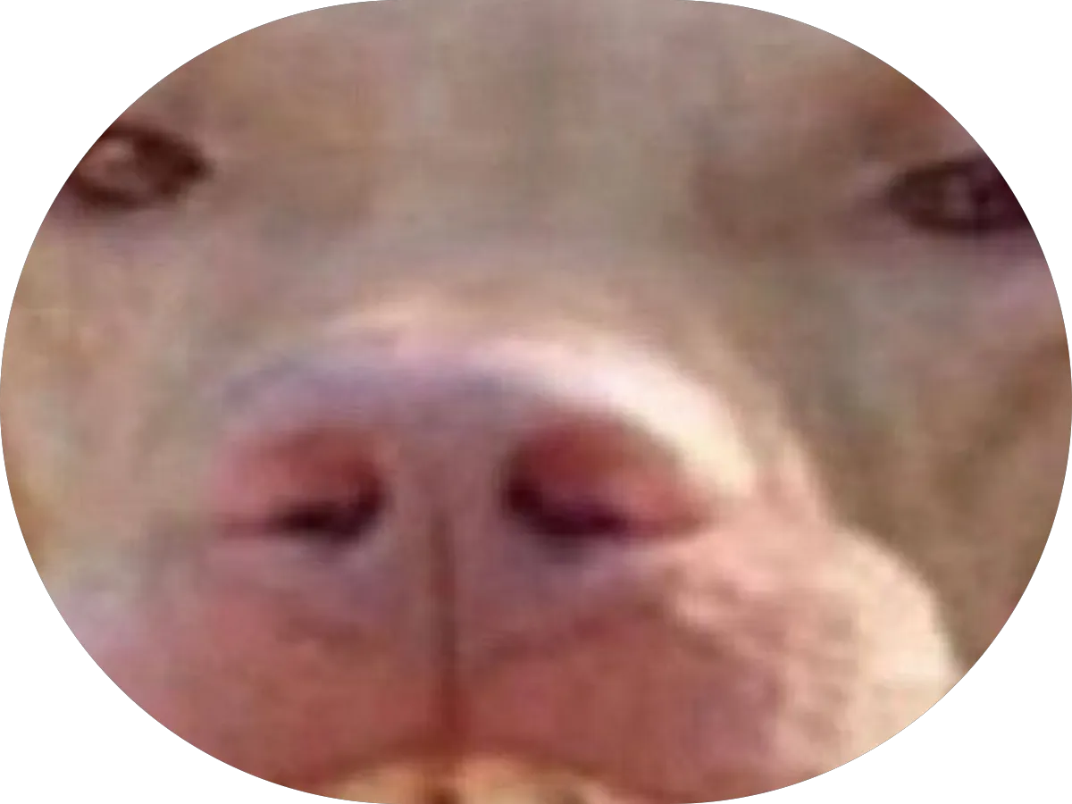 Delaware Walk In Medical photo 3