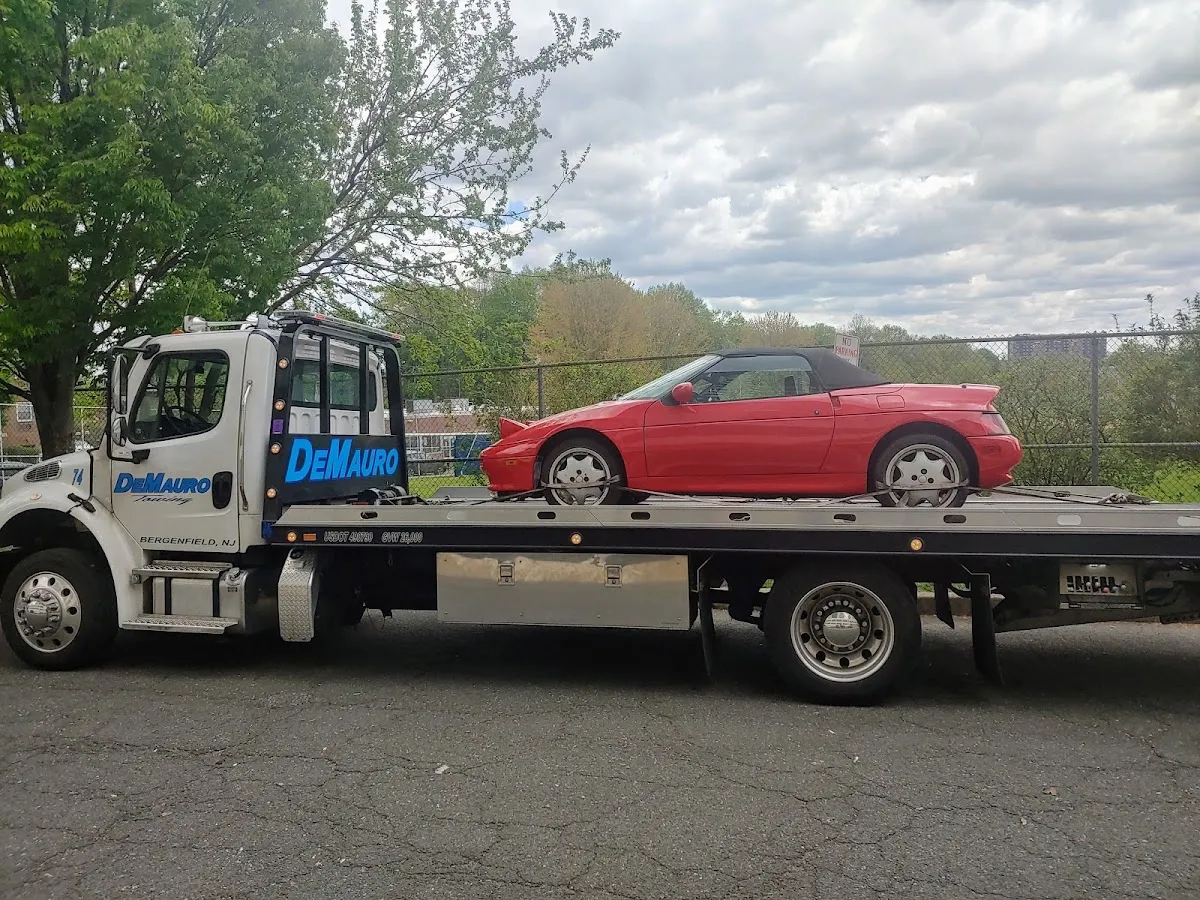DeMauro Towing