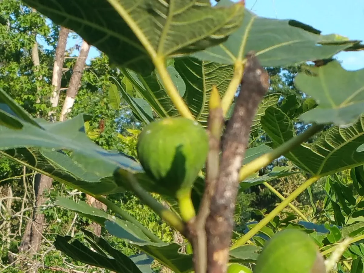 Dennis Twp Recreation Center photo 5