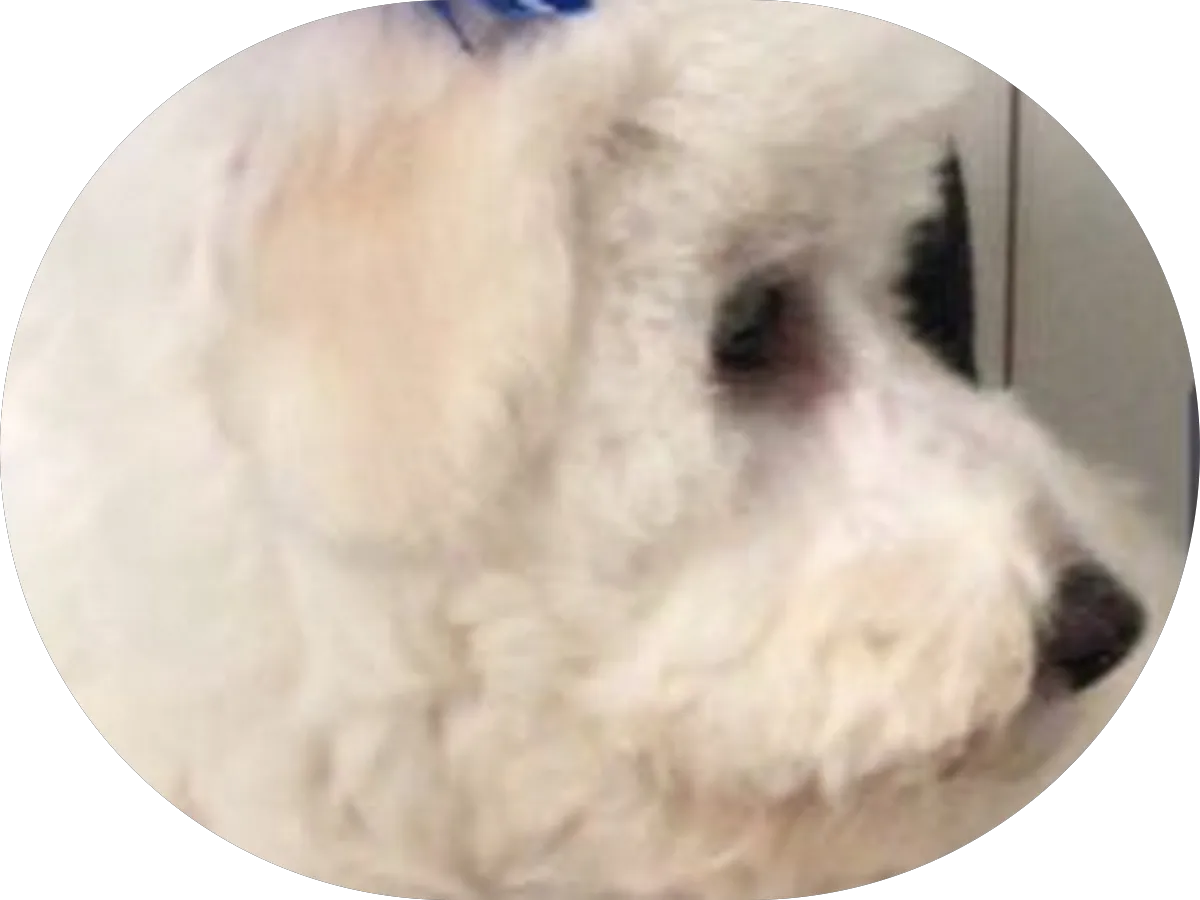 Denton Vacuum photo 2