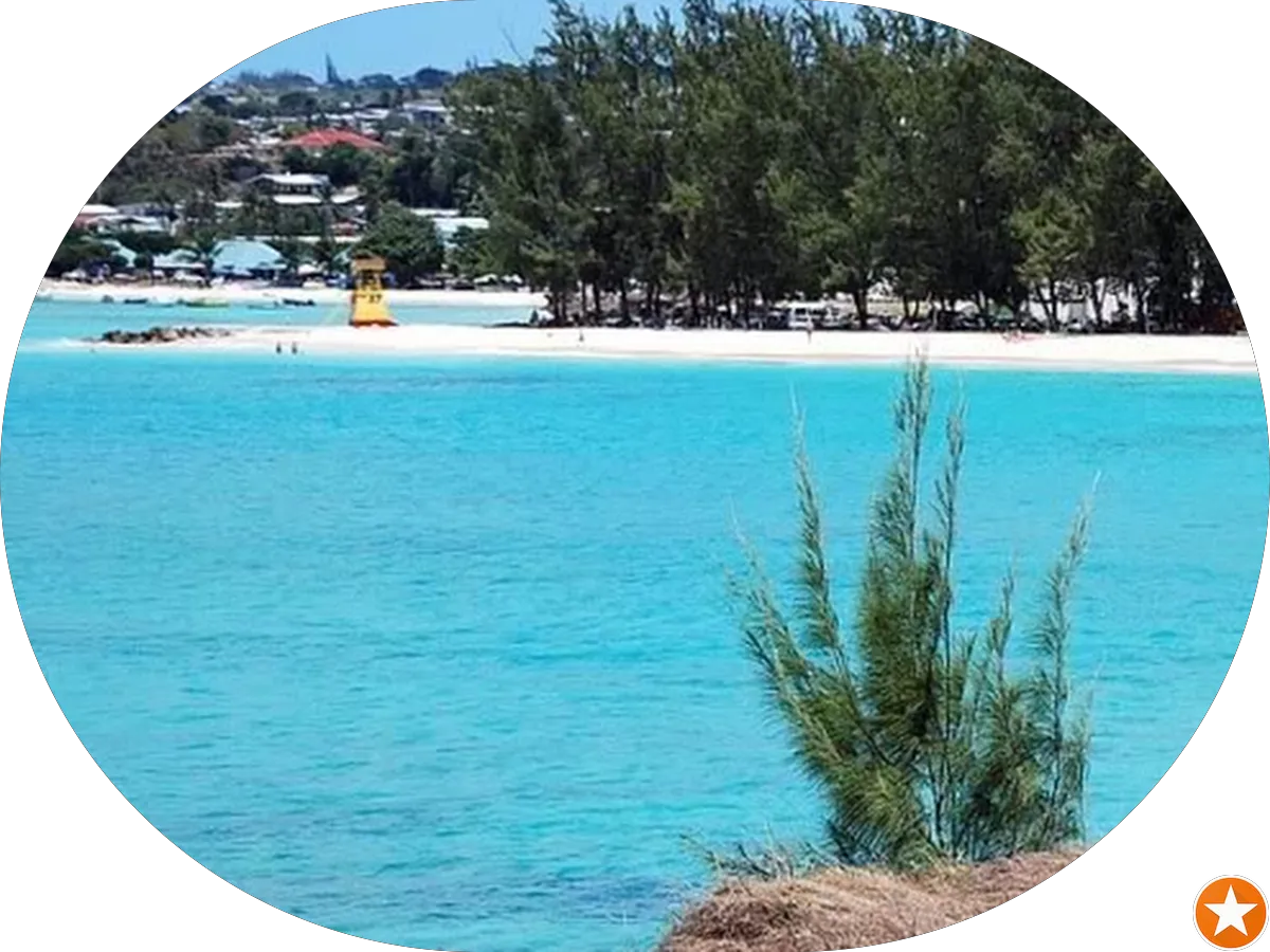 Dermatologist Jaryd Freedman photo 3