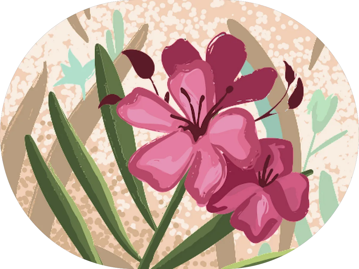 Dermatology And Skin Care Center photo 3