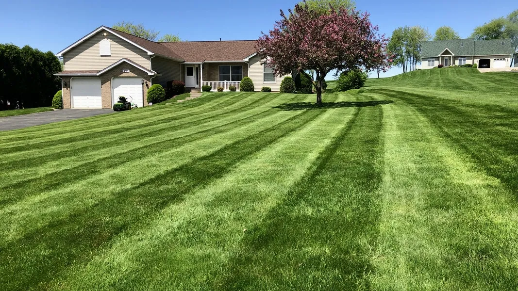 Devil Dog Property Services LLC