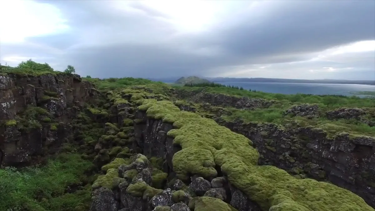 DGC Web Enterprises photo 3