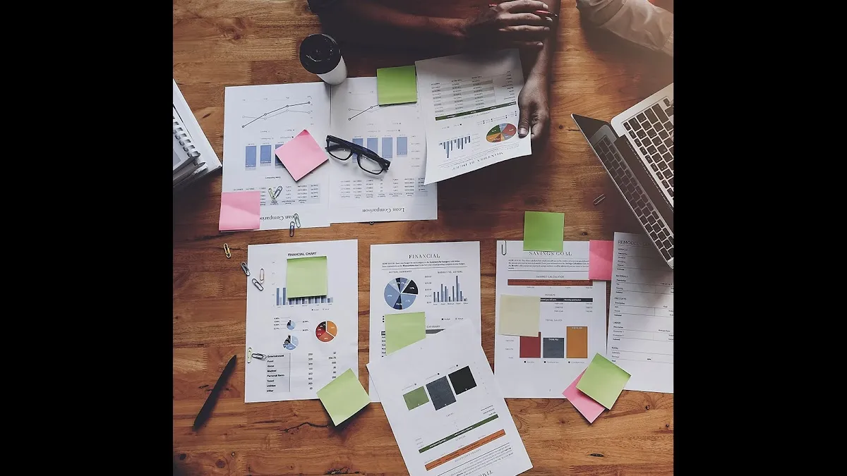 Dianna Tax Professional