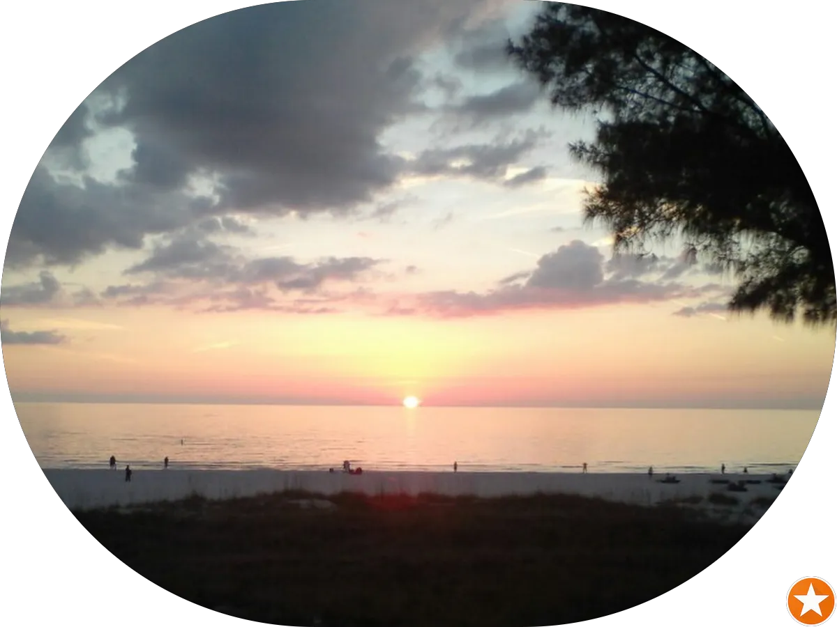 Dino Enterprise, LLC