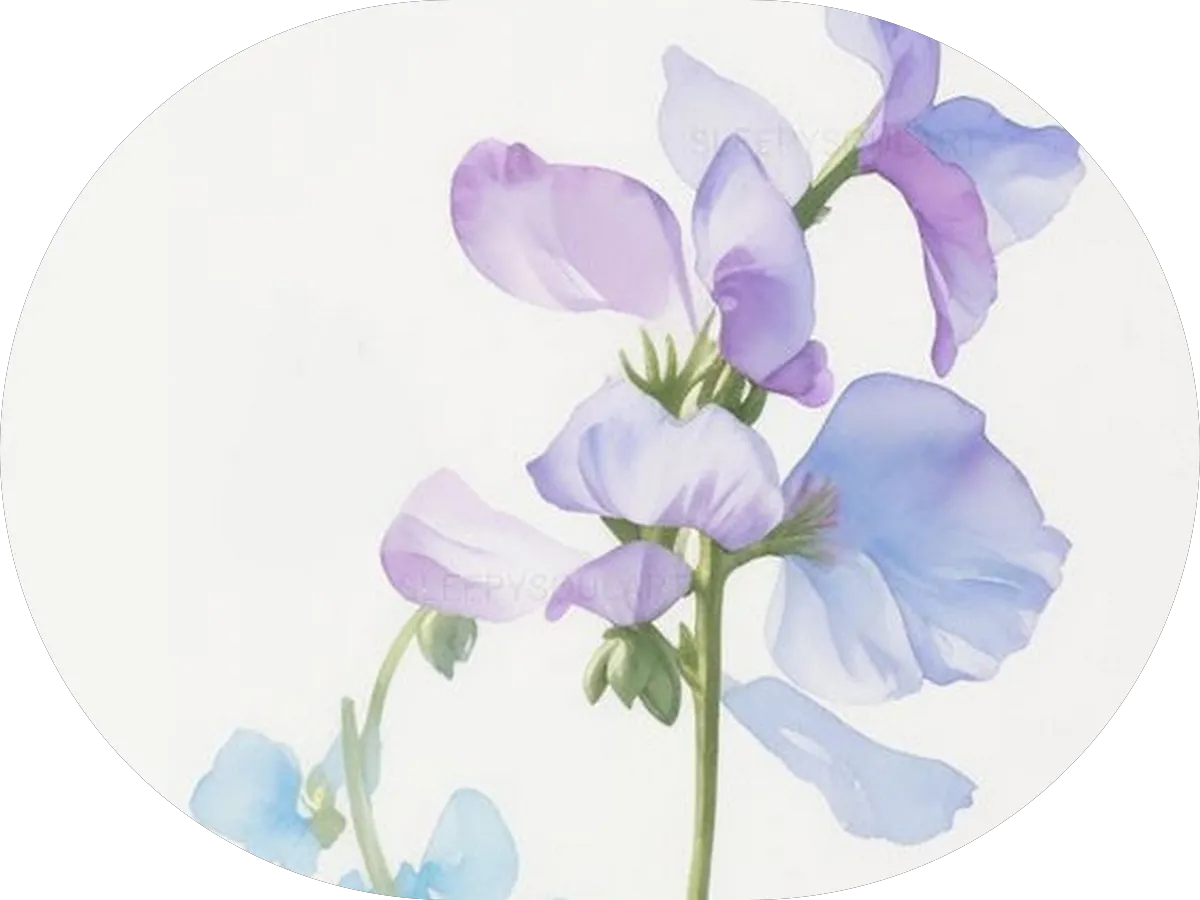 Dion Gama Hair Braiding photo 3