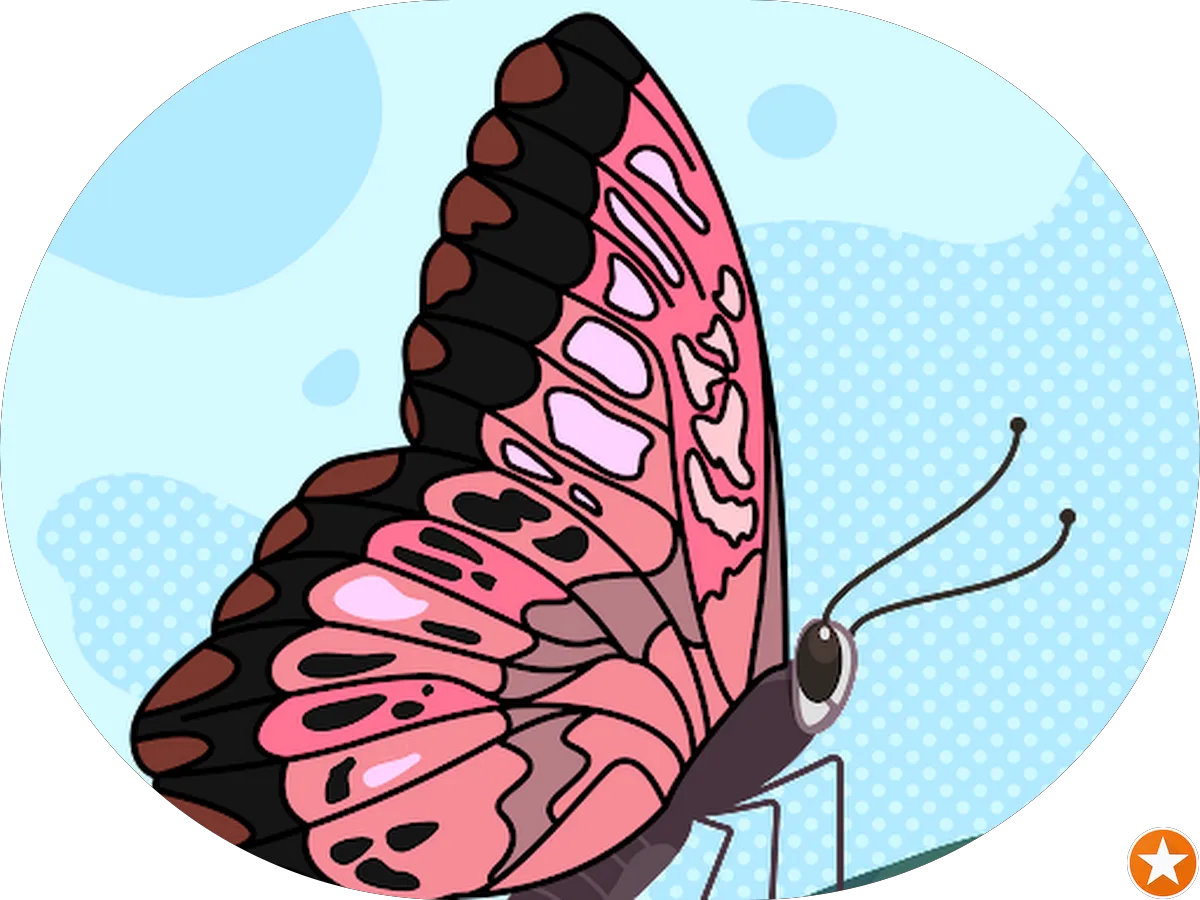 Direct Insurance Agency photo 3