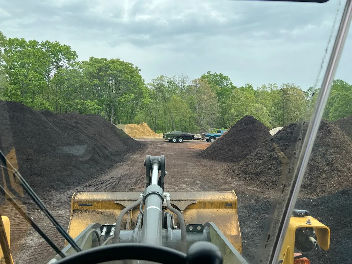 Distinctive Lawns Inc photo 3