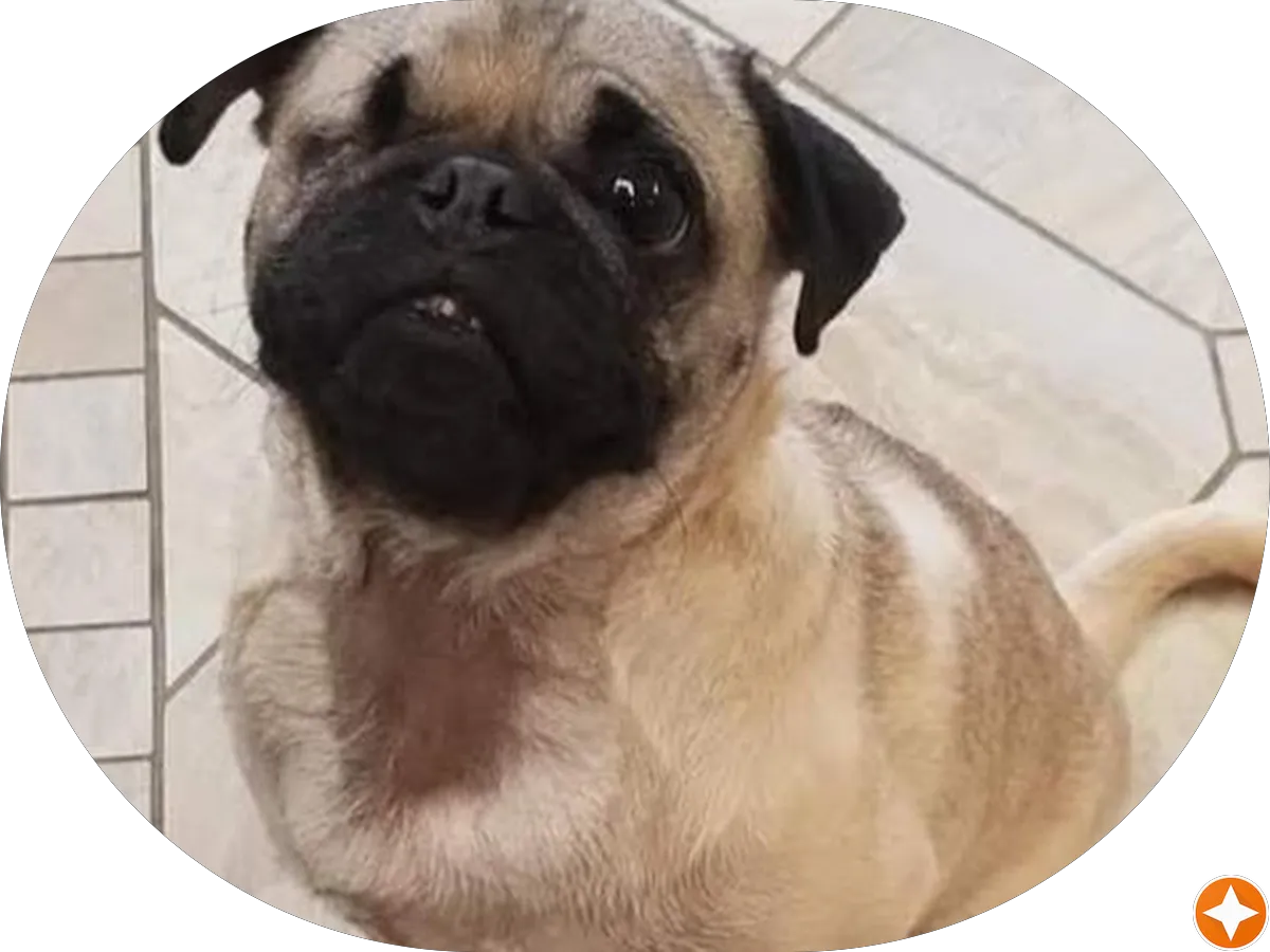 Distinctive Lawns Inc photo 5