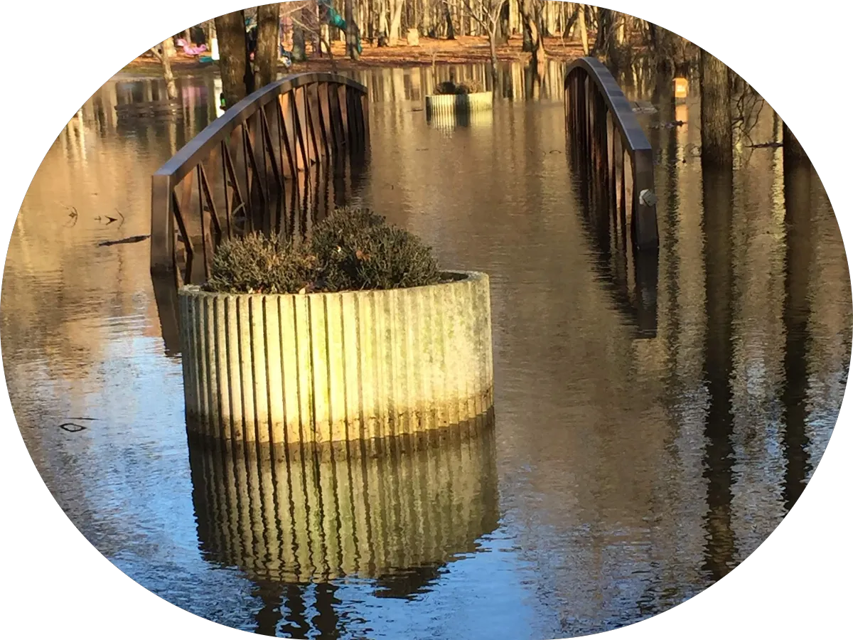 DJ Sharp Entertainment photo 4