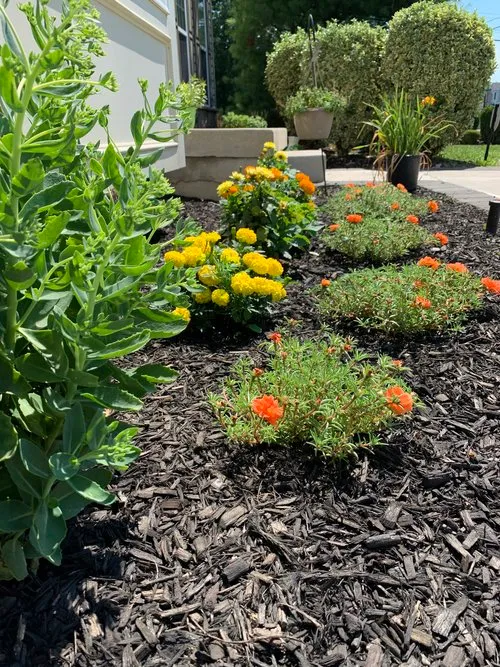 Do It Right Landscaping