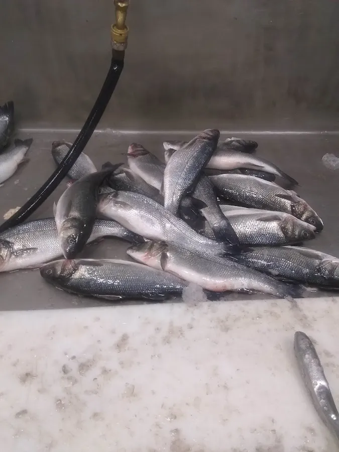 Dock Street Seafood Inc photo 4