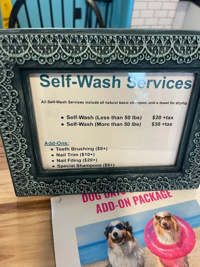 Dog Days Too! photo 2