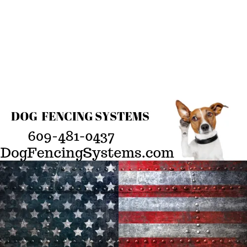 Dog Fencing Systems