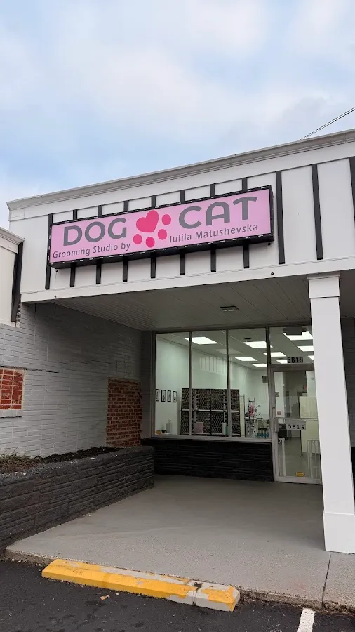 DOGCATGROOM STUDIO BY IULIIA MATUSHEVSKA photo 3