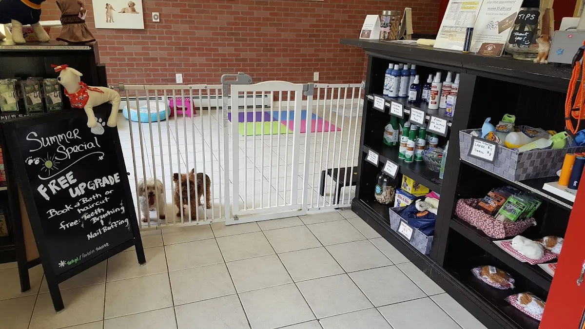 Doggies' Den Grooming photo 3