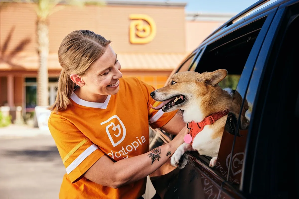 Dogtopia of Cherry Hill photo 3