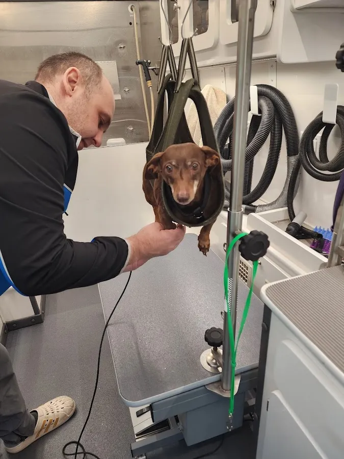 Dogz and Paws photo 2