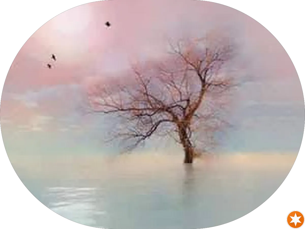 Dollar General photo 5