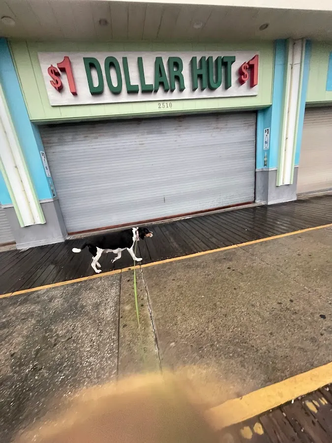 Dollar Hut