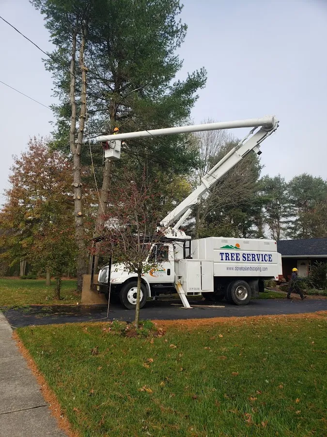 Donato's Landscaping Inc photo 2