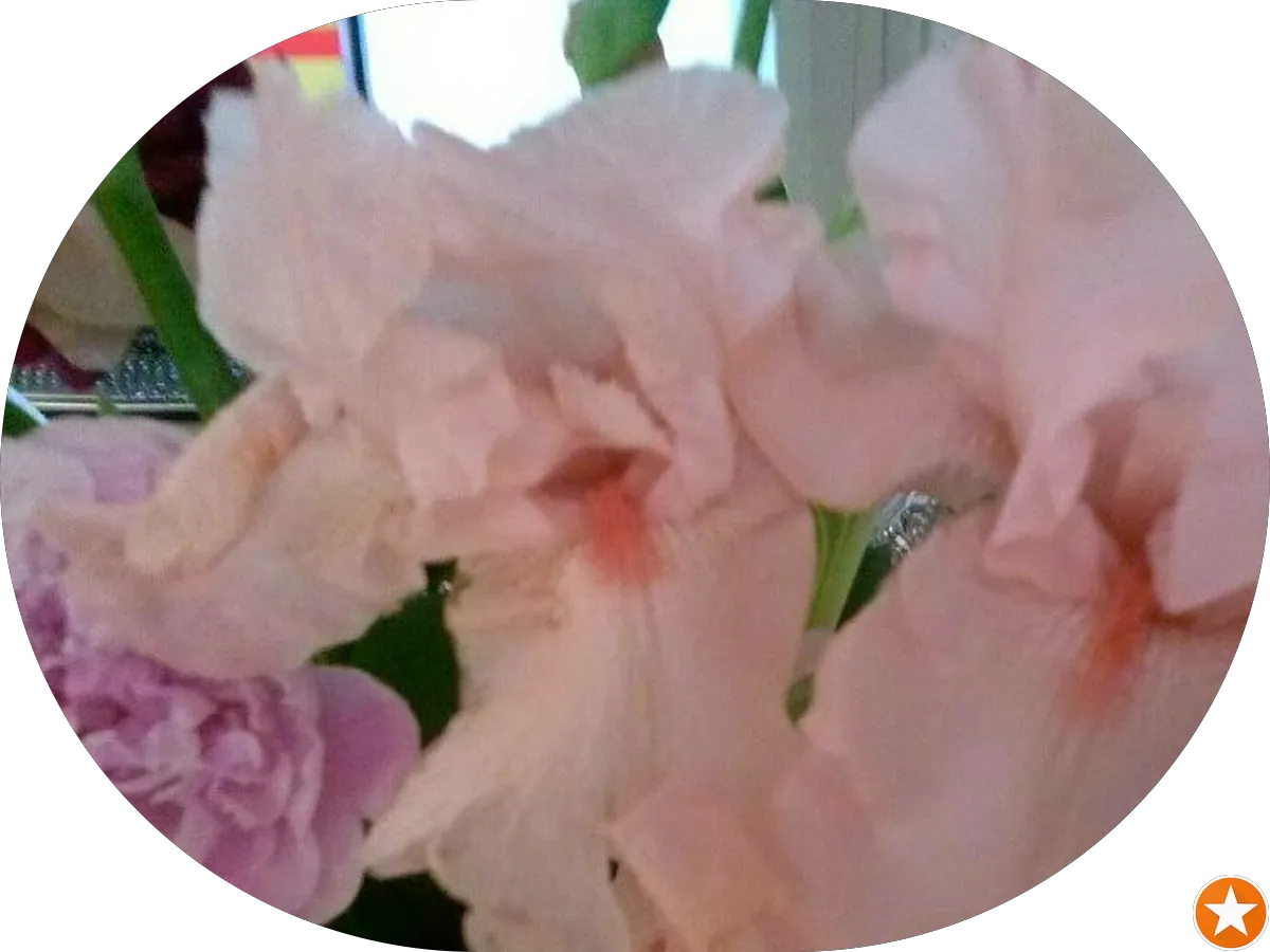 Donna May Kramer Agency, LLC photo 4