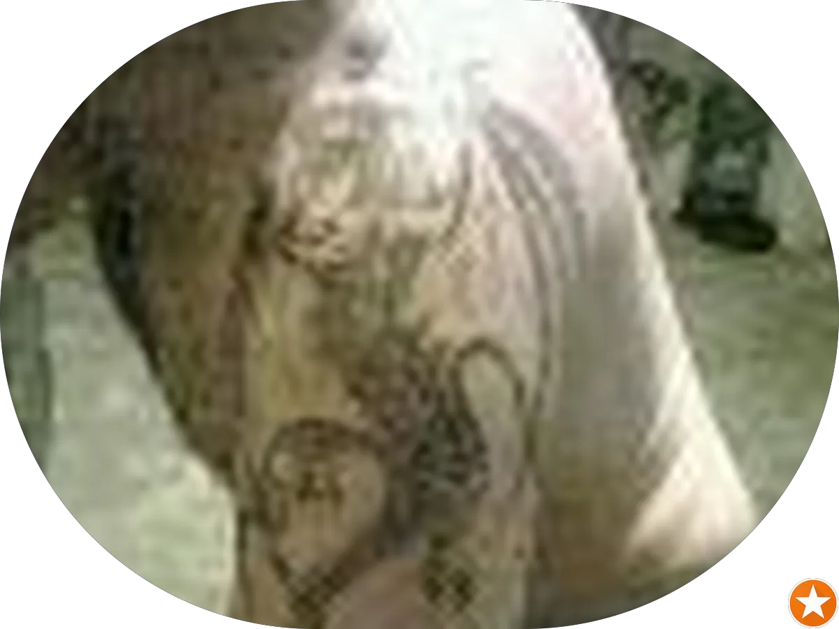 Door to Door Storage & Moving photo 3