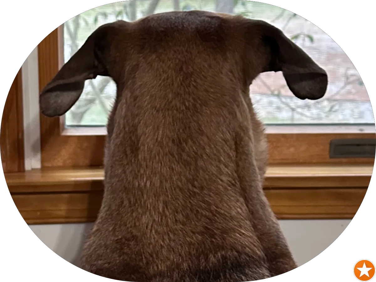 Dormann's Heating & Cooling, LLC photo 4