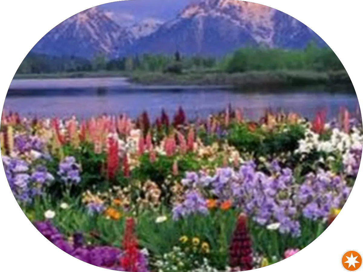 Dowling Hall Garage photo 2