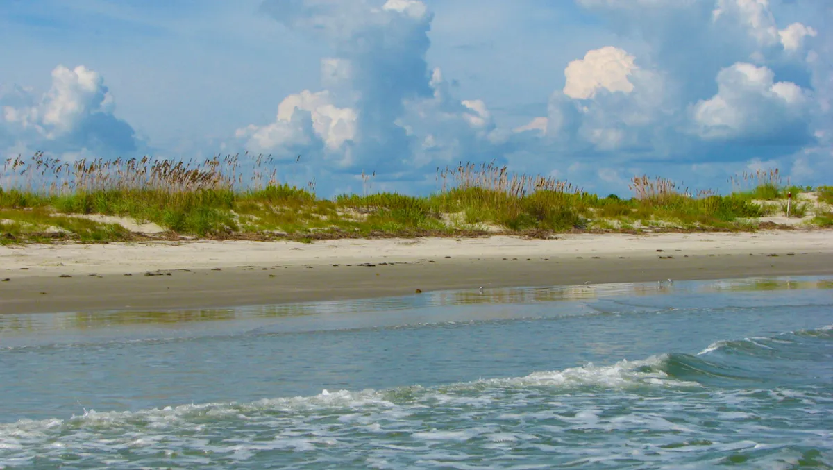 Down the Shore Services