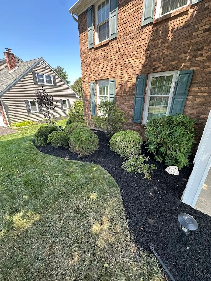 Downs’ Gutter Cleaning and Yard Care photo 5