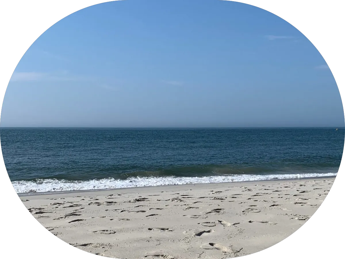 Dr. Ari Frohlich, DMD photo 2