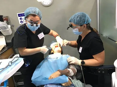 Dr. Fariba Farrokhi, DMD photo 2