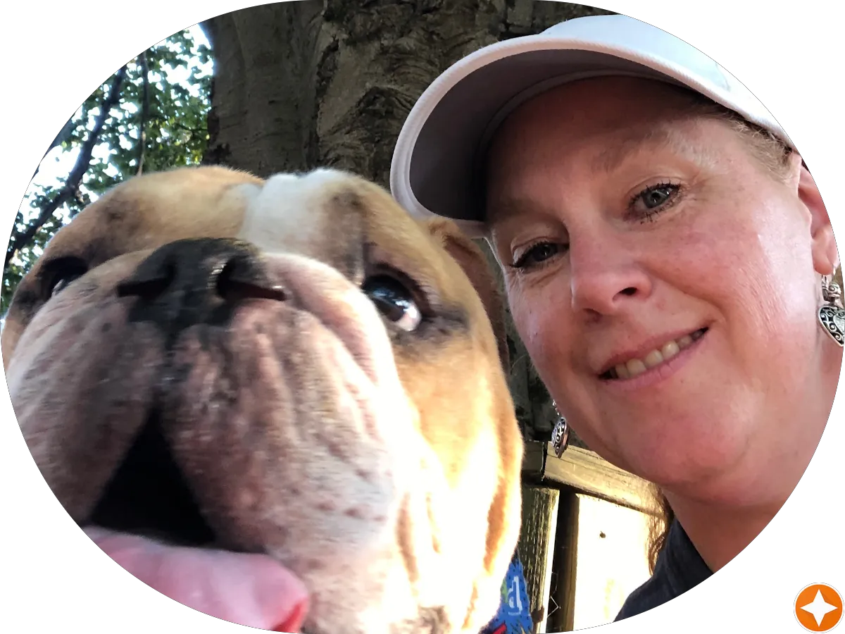 Dr Freed and Gliksman General Dentistry photo 4