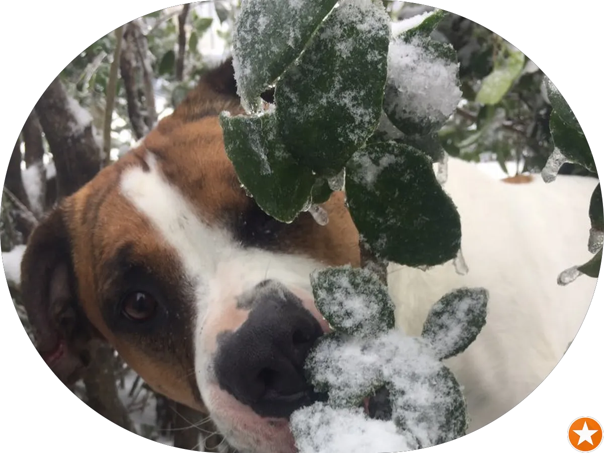 Dr. John L. Gaffney, DO photo 2