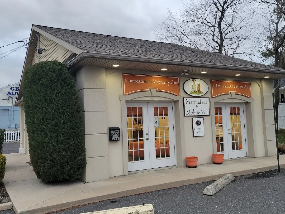 Dr. Lori's Mobile Veterinary Service photo 5