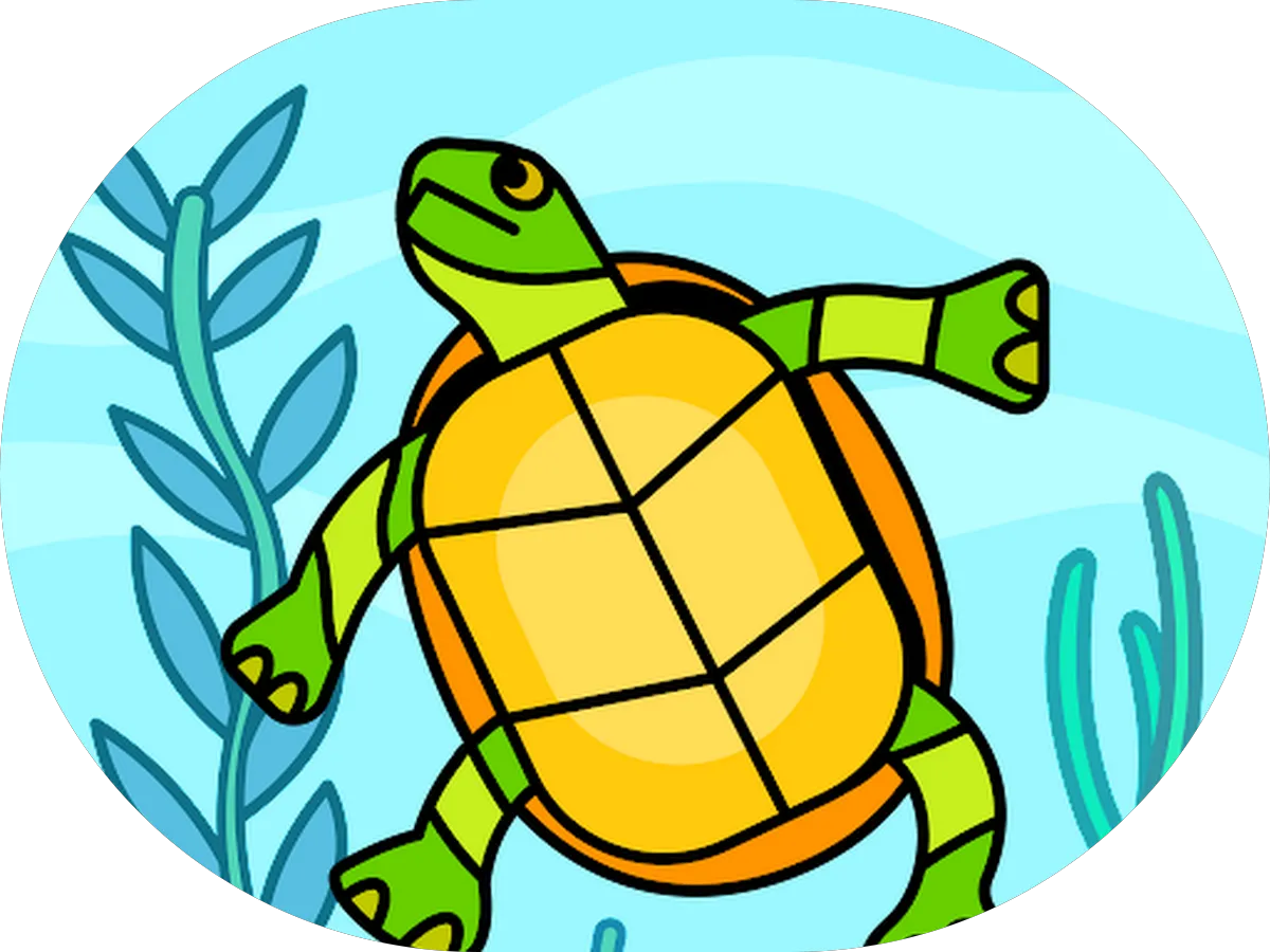 Dr. Patricia C. O'Brien, PC