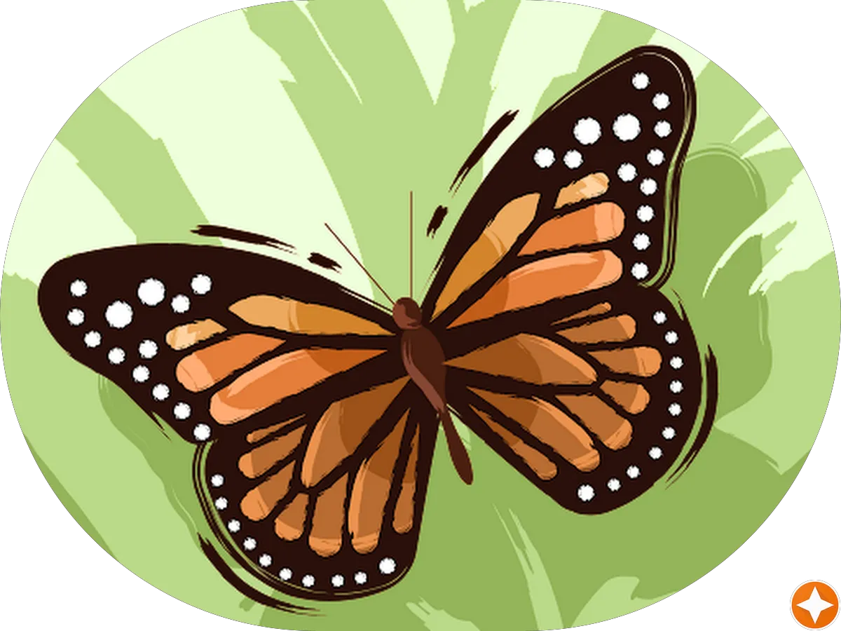 Dr. Peter Gaidis, DDS