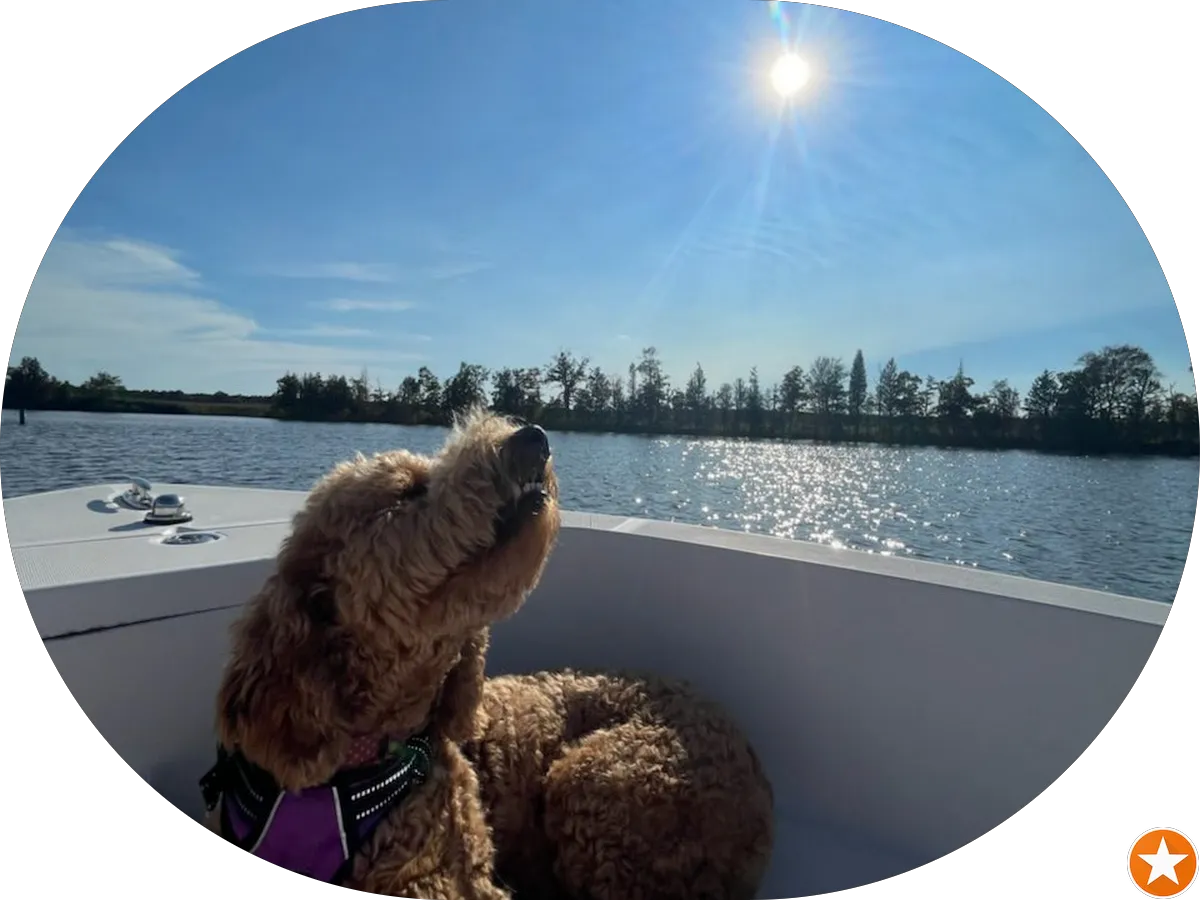 Dr. Sherry Lench photo 3