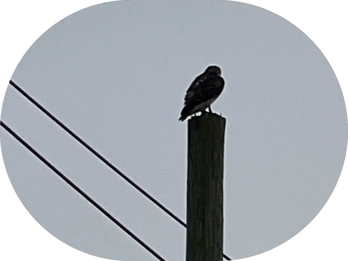 Dr. Young Kim, DDS photo 2