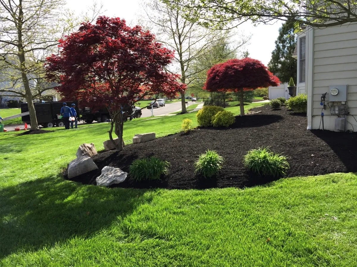 Dream Landscaping photo 4