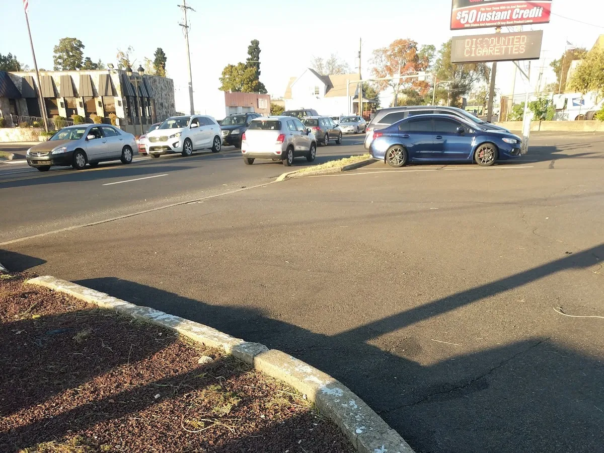 Dream Landscaping photo 5