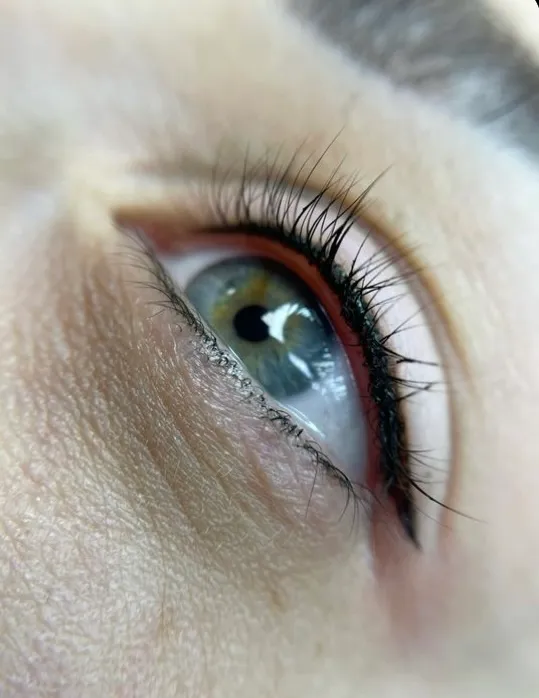 DREAMY DOLL BEAUTY LLC