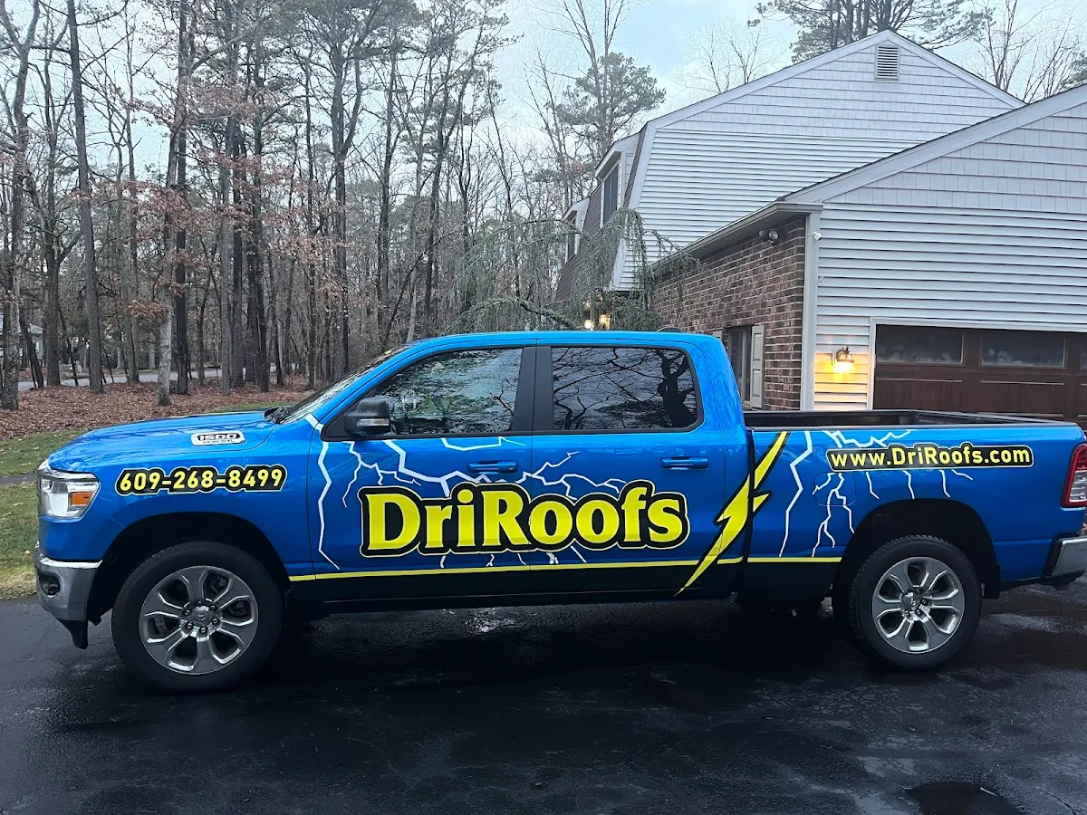DriRoofs photo 3