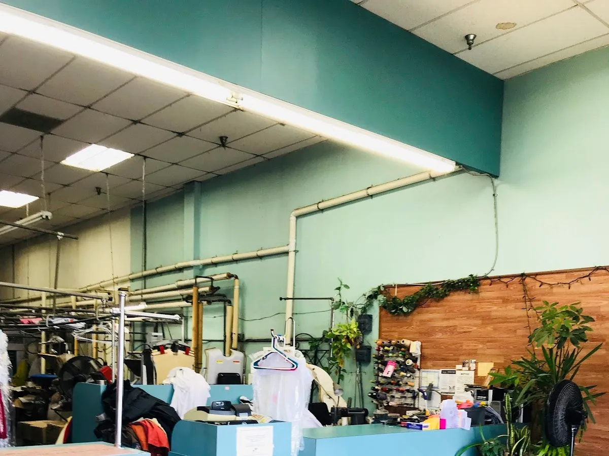 Dry Clean City photo 5