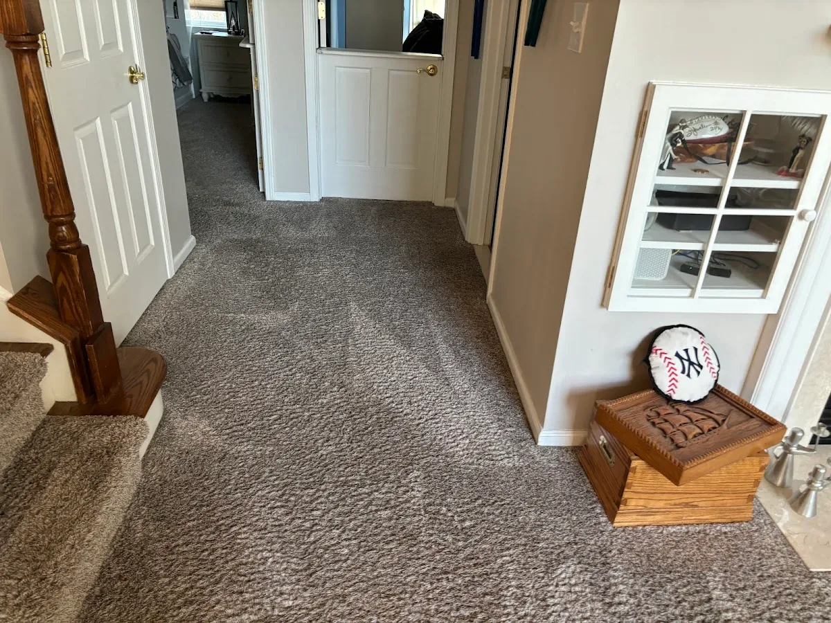 Dunamis Carpet Cleaning